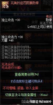 DNF发布网100级
